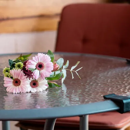 Wellness Hisa Jelenov Gric Διαμέρισμα Mala Nedelja