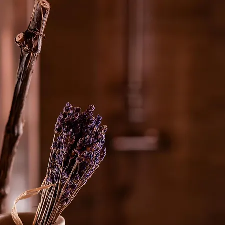 Wellness Hisa Jelenov Gric * Mala Nedelja