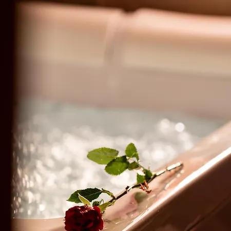 Wellness Hisa Jelenov Gric Mala Nedelja