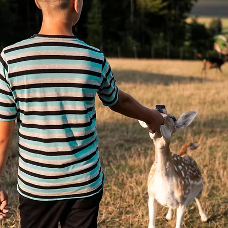 Wellness Hisa Jelenov Gric Mala Nedelja