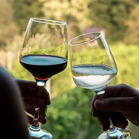 Wellness Hisa Jelenov Gric Appartement Mala Nedelja