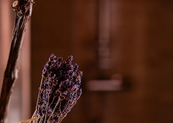 Wellness Hisa Jelenov Gric * Mala Nedelja