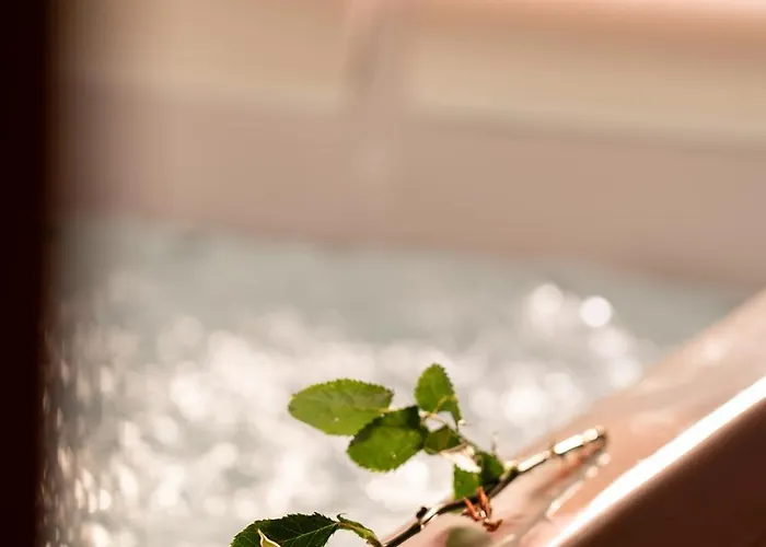 Wellness Hisa Jelenov Gric Mala Nedelja