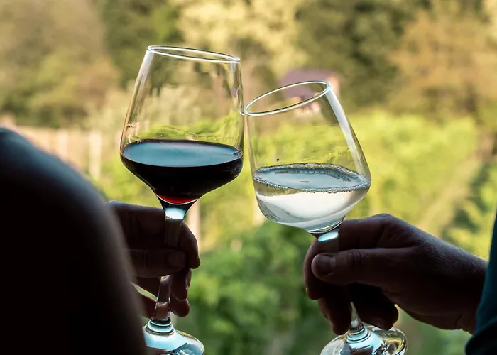 Wellness Hisa Jelenov Gric Διαμέρισμα Mala Nedelja